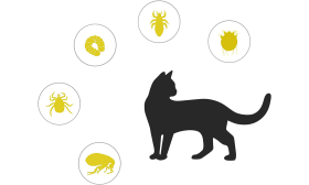 Naturligt Loppe- og Flåthalsbånd Til Kat