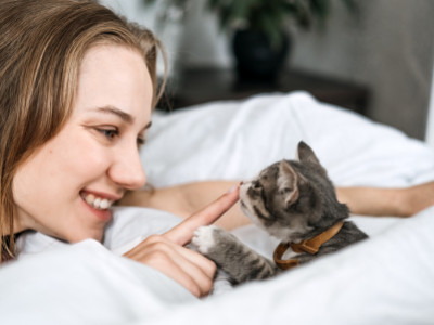 En ny kat i hjemmet: Skab et hyggeligt og sikkert kattehjem, når du adopterer en kat