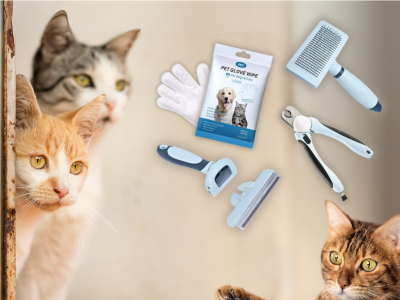 Kattepleje efter Race: Guide til God Pelspleje for Enhver Kat